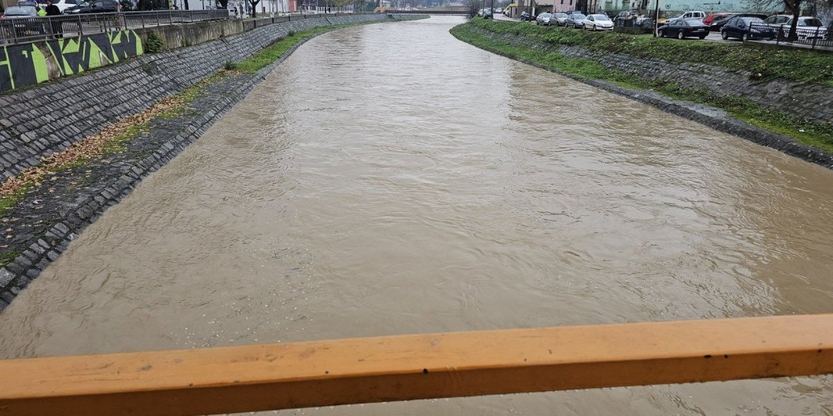 Veternica u Leskovcu