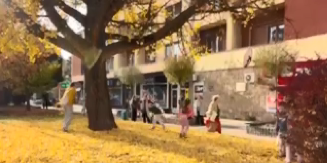 Najlepša slika dana dolazi iz ovog grada (VIDEO)