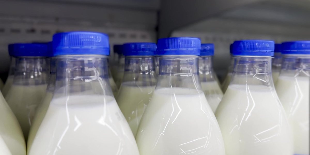 Inspekcija upala u najveće fabrike mleka: Ovo su rezultati analiza