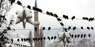 Obilne snežne padavine izazvale su zastoje u saobraćaju, otežano kretanje vozila i povećale rizik od saobraćajnih nezgoda jutros u Sarajevu.