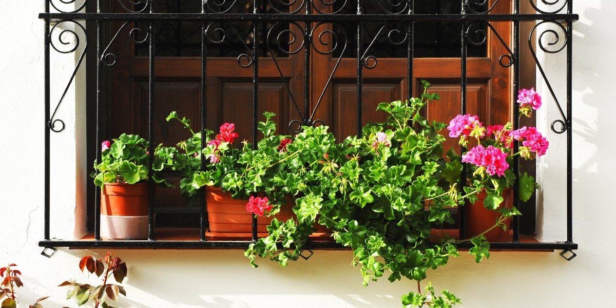 Biznis sa terase osvojio Srbe: Donosi masnu zaradu, a ulaganja gotovo da nema