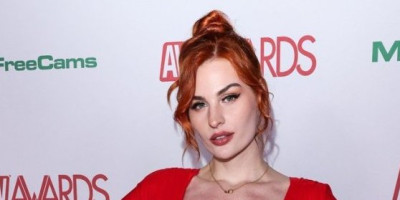 Na crvenom tepihu AVN nagrada pojavila se glumica Abigejl Moris u haljini sa toliko smelim dekolteom, da je u jednom trenutku bukvalno "zaustavila" ceo događaj.