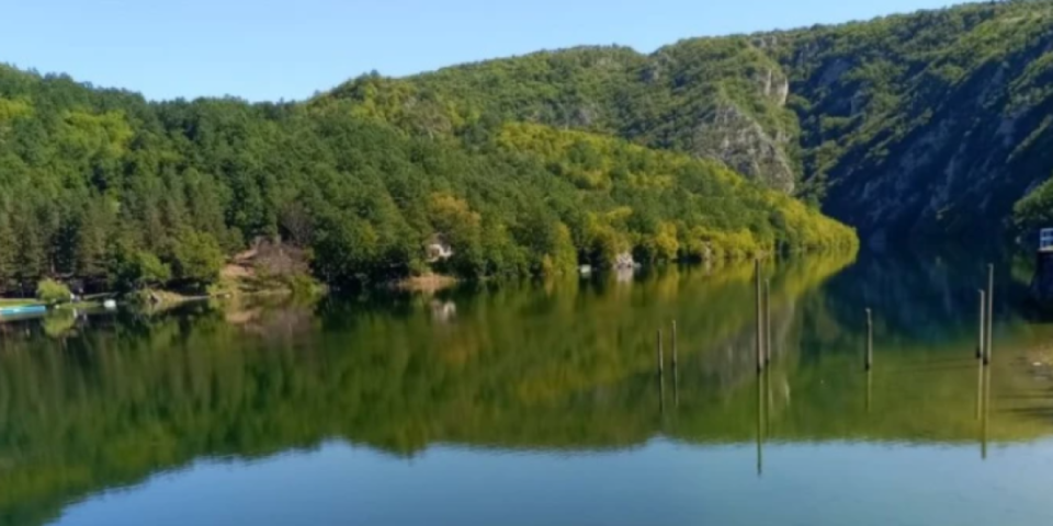 Rajkina velika avantura: Prevalila više od 2000 kilometara, evo gde je danas