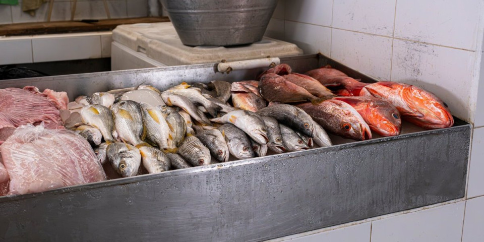 Cena ribe pred Nikoljdan: Evo kako da prođete što jeftinije (TABELA)