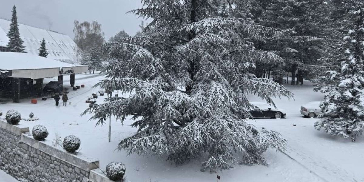 Nastavlja se ledeni talas: Ovi delovi Srbije će biti zavejani - Evo šta nas čeka za vikend