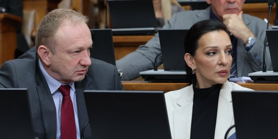 Patosirana Marinika: Đilasova perjanica se ostrvila na Zoranu Mihajlović, spomenula i zatvor - ali ovo nije očekivala