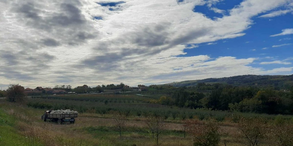 Nenad je kralj Šumadije - Titulu mu dali meštani, evo i zbog čega