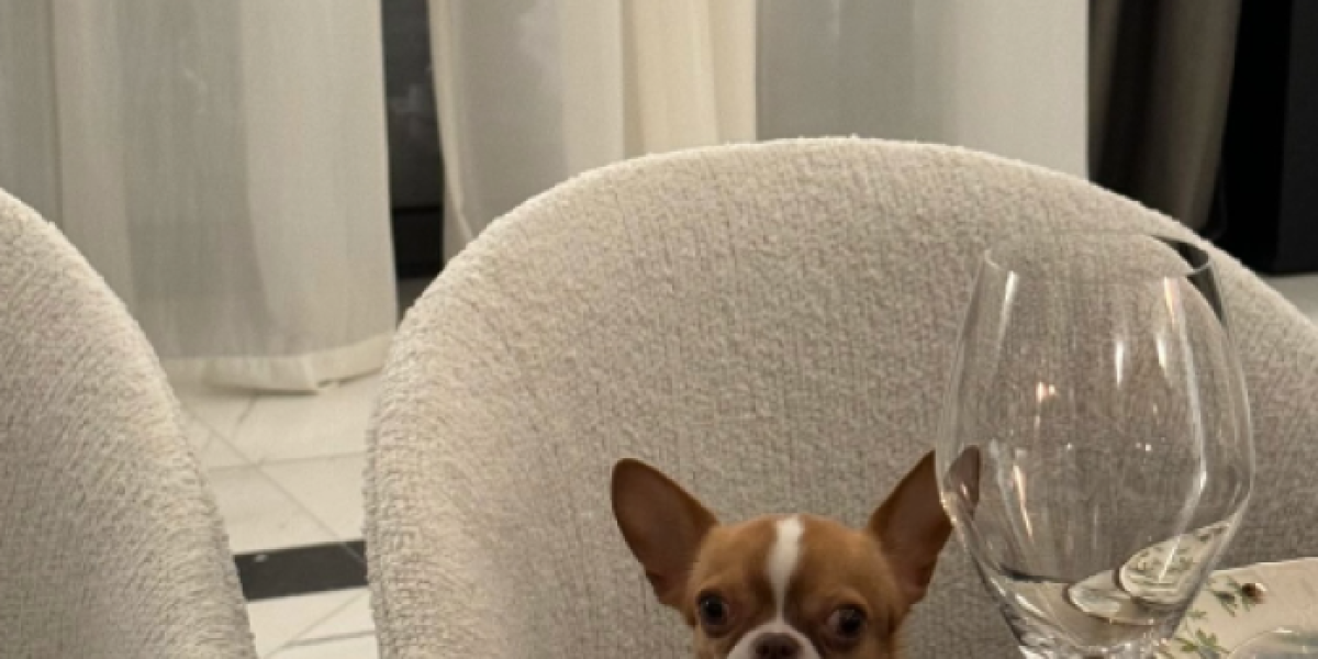 Pas Željka i Milice Mitrović