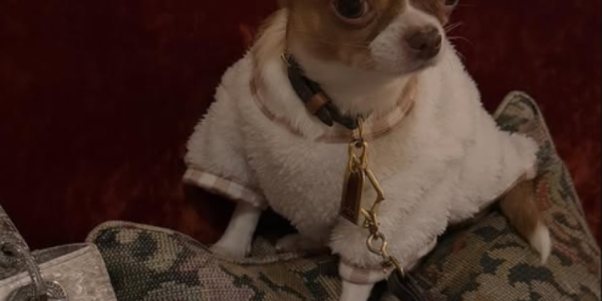 Pas Željka i Milice Mitrović