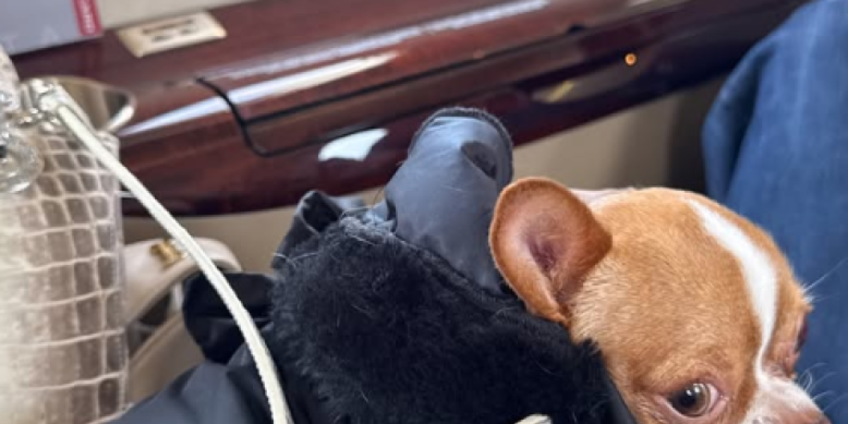 Pas Željka i Milice Mitrović