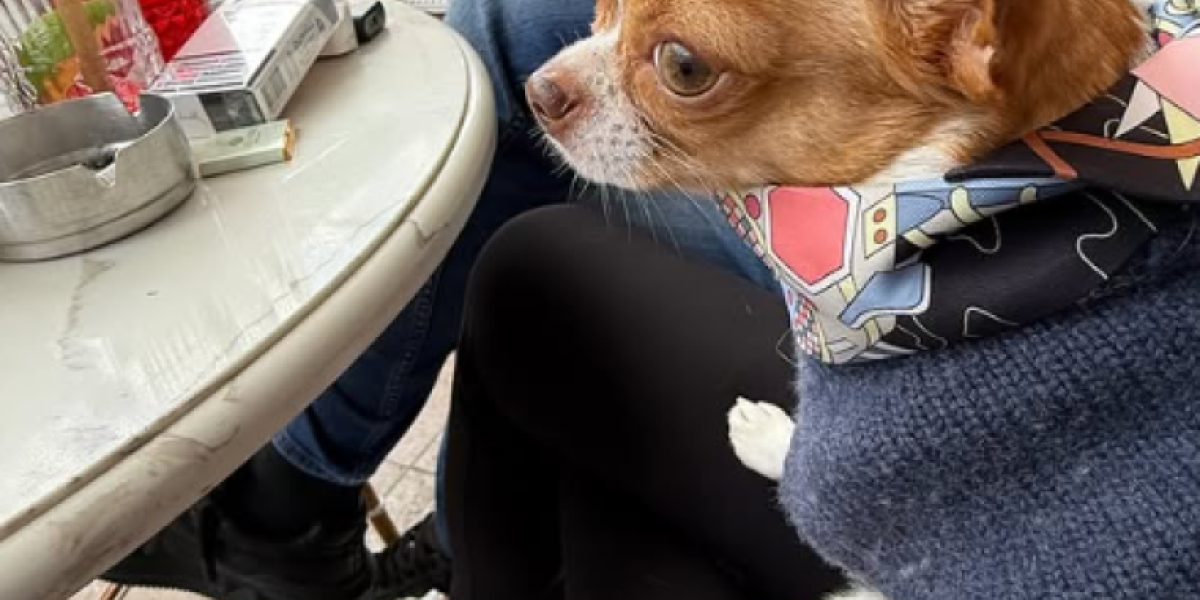 Pas Željka i Milice Mitrović