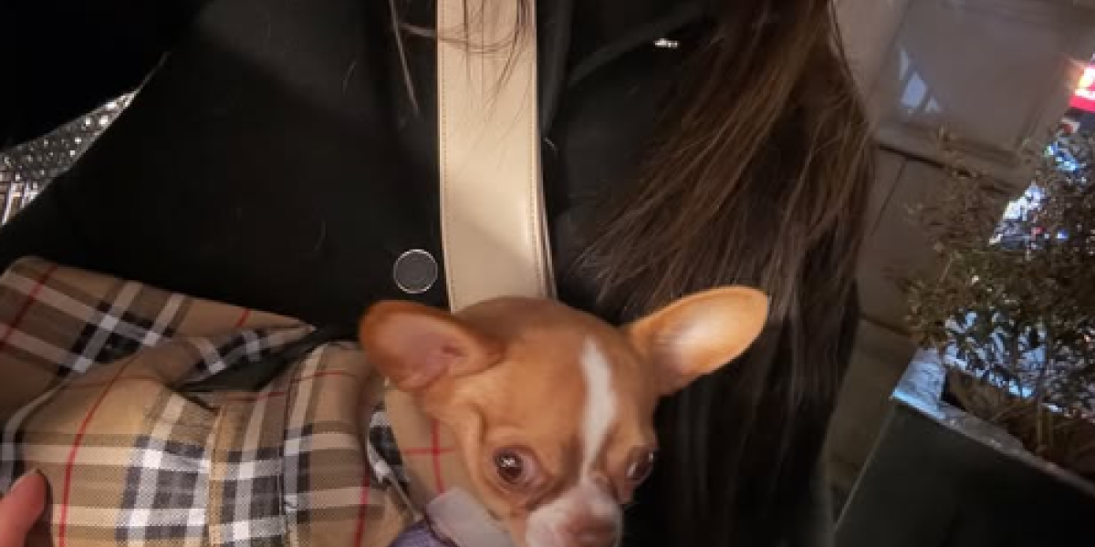 Pas Željka i Milice Mitrović