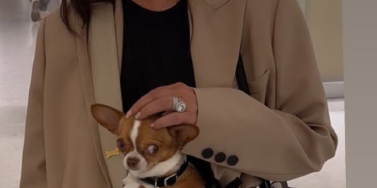 Pas Željka i Milice Mitrović