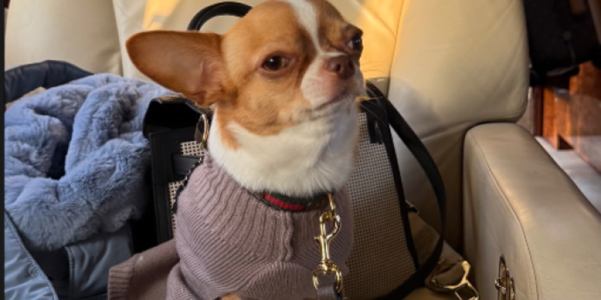 Pas Željka i Milice Mitrović