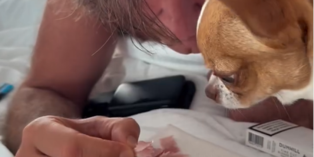 Pas Željka i Milice Mitrović