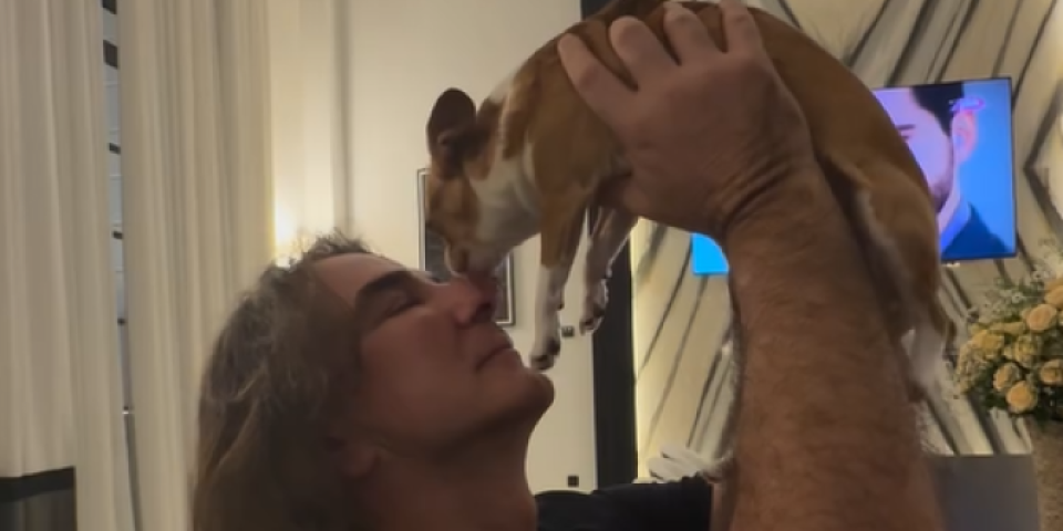 (FOTO) Pas Željka Mitrovića u brendiranoj haljini od čipke: Čivavin garderober vredi čitavo bogatstvo