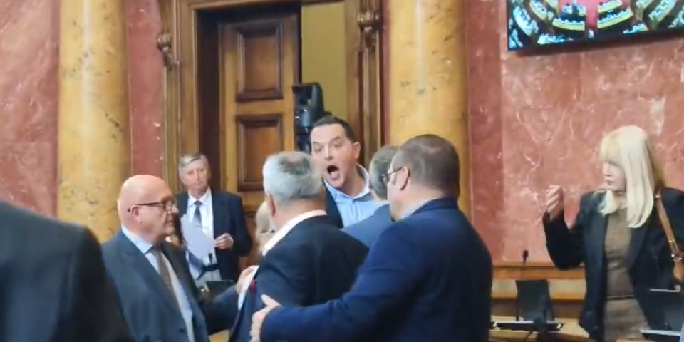 U pauzi napadaju i vređaju poslanike SNS! Skandalozno ponašanje predstavnika ZLF u Skupštini (VIDEO)