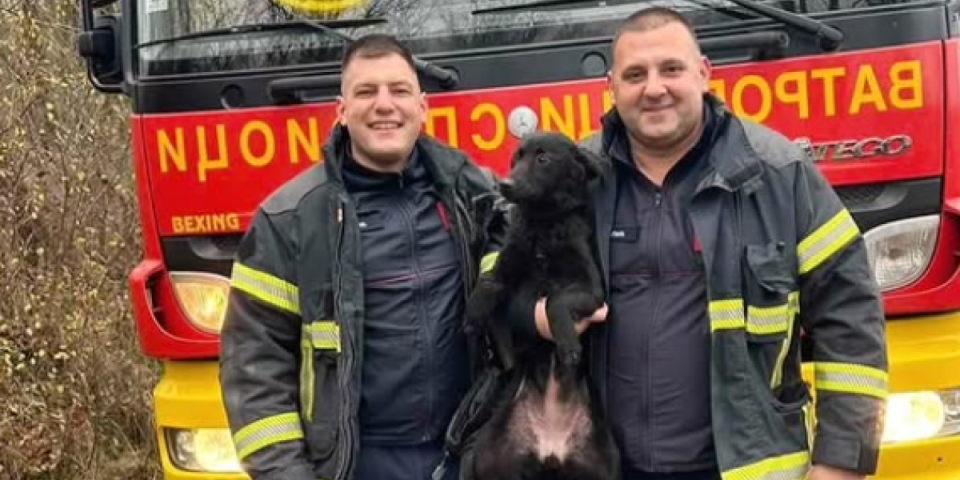 Herojski podvig vatrogasaca-spasioca: Izvukli psa iz bunara bez ogrebotine (VIDEO)