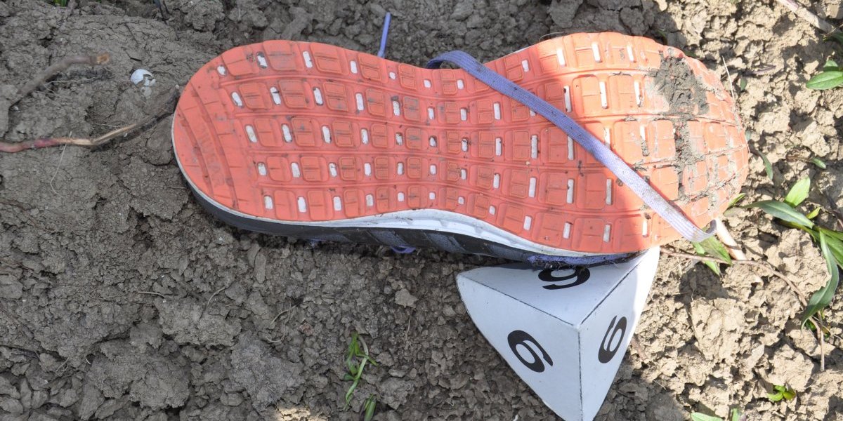 Jelenina patika pronađena na nasipu