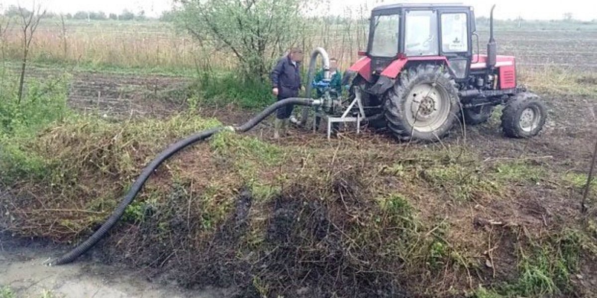 Potraga za Jelenom Marjanović