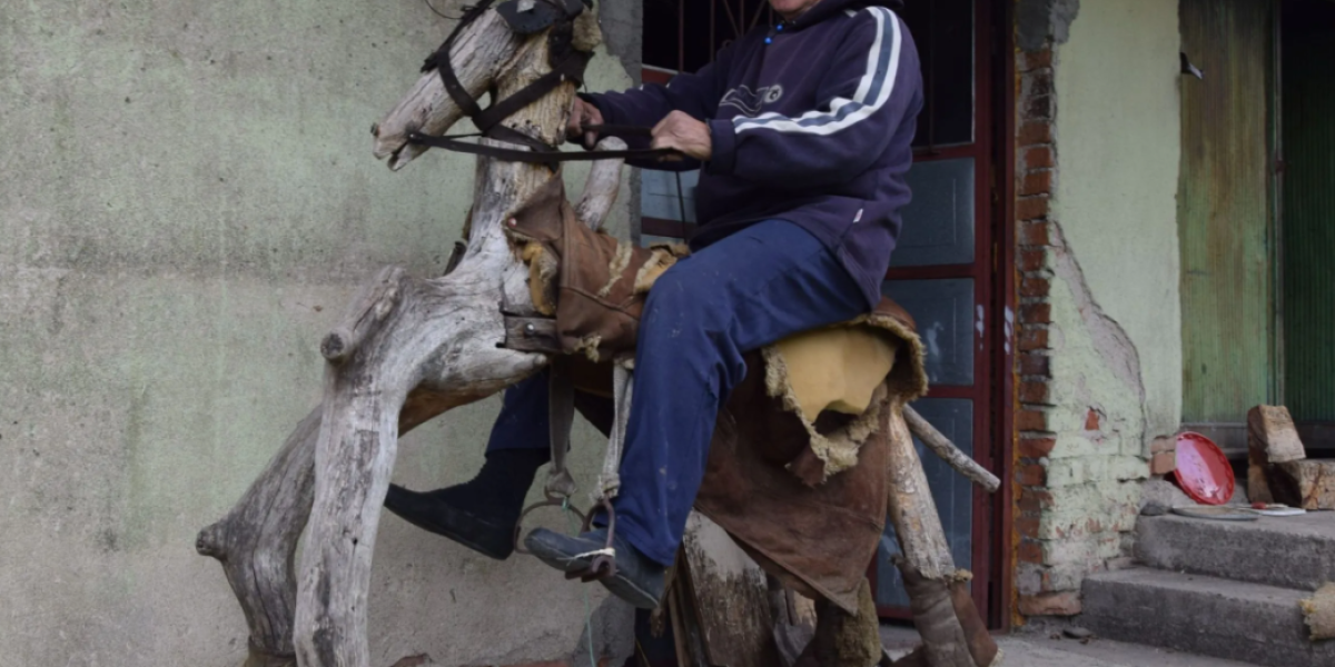 Konjić za odrasle u odličnoj formi, kaže Milen Pavlović Popaj