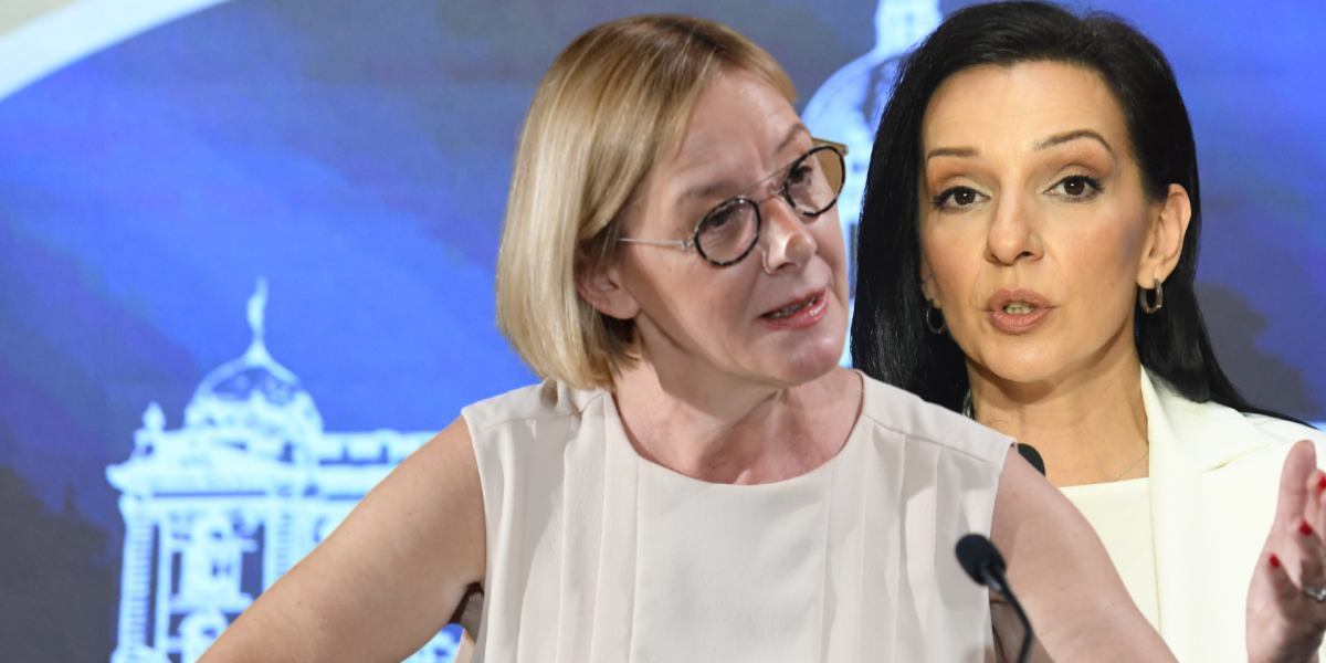 (VIDEO) Pršti u opozionom kokošinjcu: Marinika napala i Olju Bećković