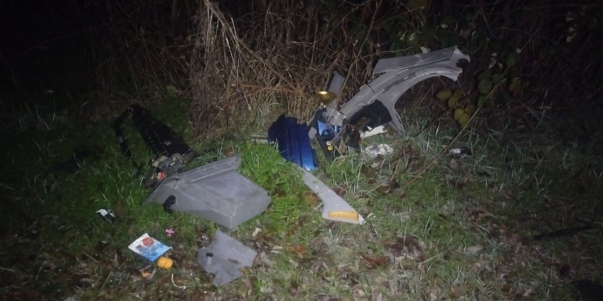 Delovi ''fijat pande''