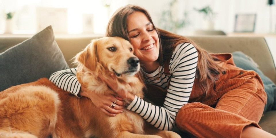 Zlatni retriver je zvezda frizerskog salona: Nećete verovati šta radi - snimak je hit (VIDEO)
