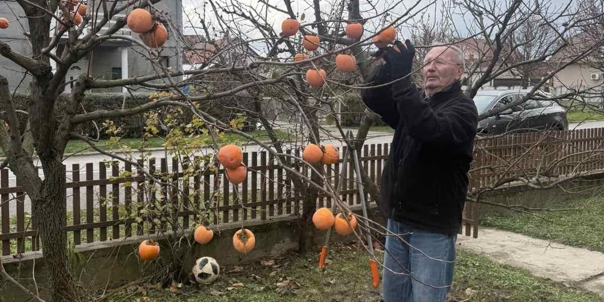 Šta to Momčilo čuva? Njegovo dvorište više liči na mediteransku oazu nego mačvansku avliju