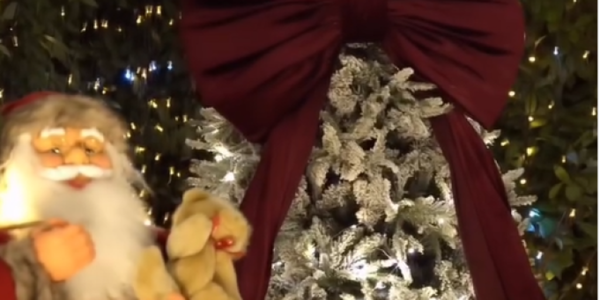 Novogodišnja dekoracija Bokija 13