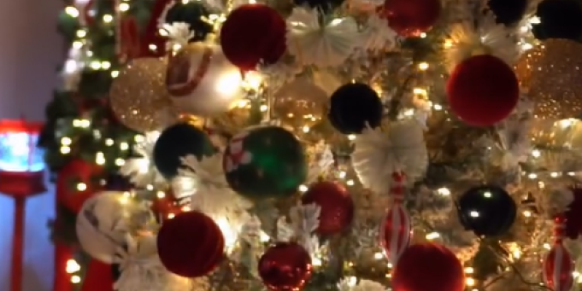 Novogodišnja dekoracija Bokija 13