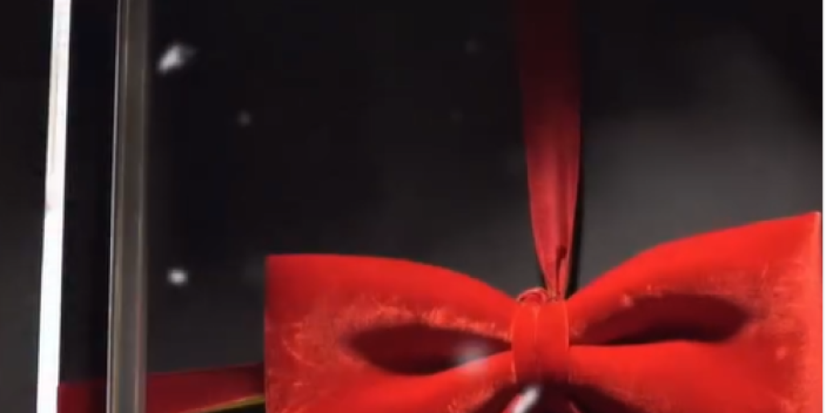 Novogodišnja dekoracija Bokija 13