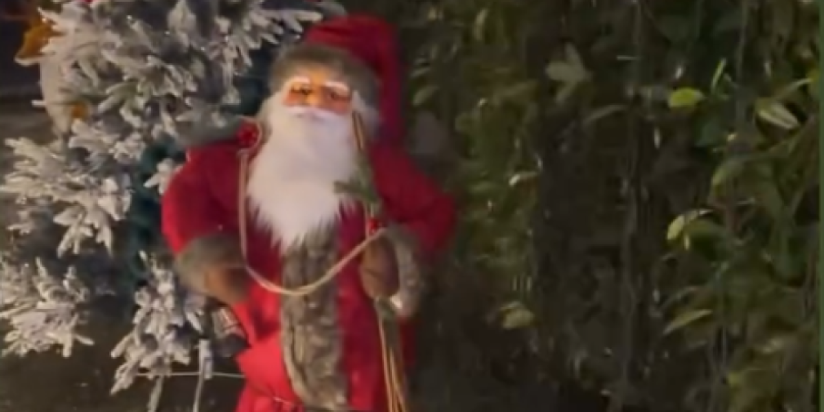 Novogodišnja dekoracija Bokija 13