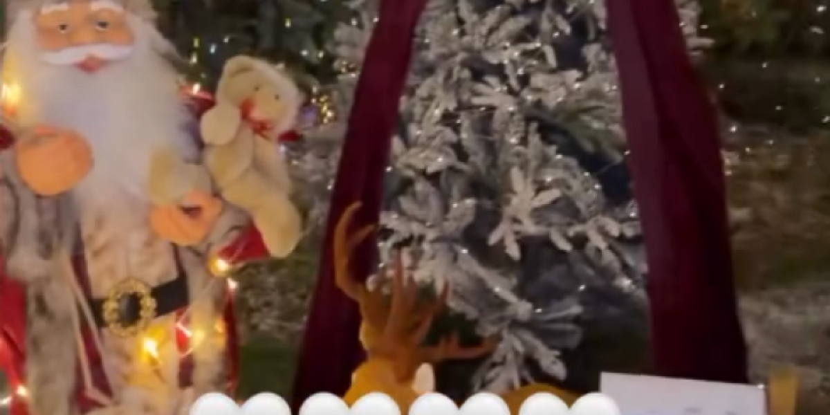 Novogodišnja dekoracija Bokija 13