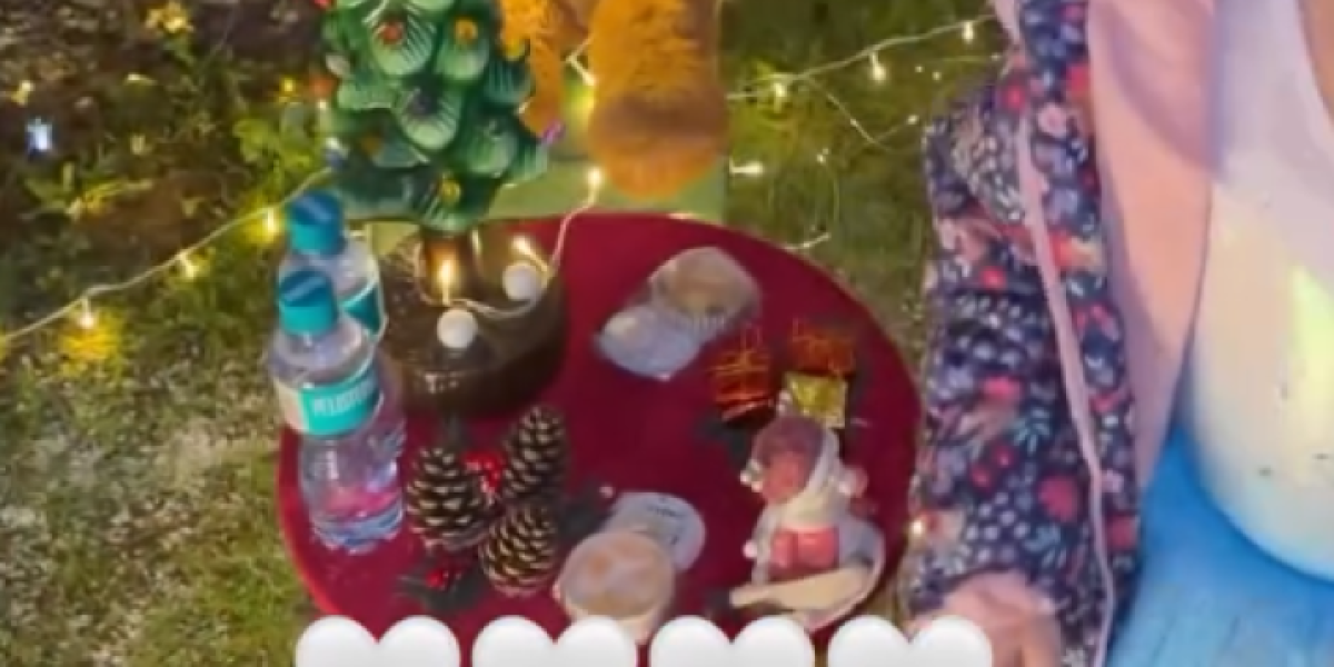 Novogodišnja dekoracija Bokija 13