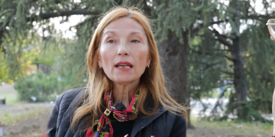 Kako je ubijena pravda u Srbiji?! Sudija blokaderka progoni novinare - zbog ovoga je kažnjena Andrijana Nešić