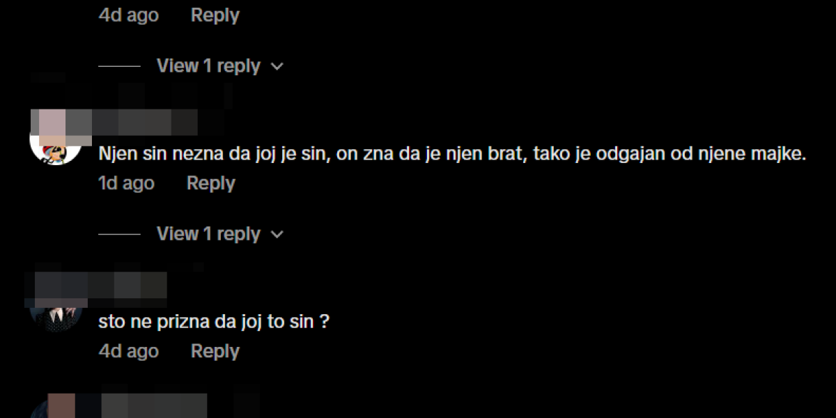 Komentari na račun Mine Vrbaški