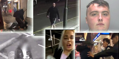 (VIDEO) Heroj sa Balkana spasio devojčicu od manijaka: Skočio na pedofila i sastavio ga zemljom, ali bukvalno!