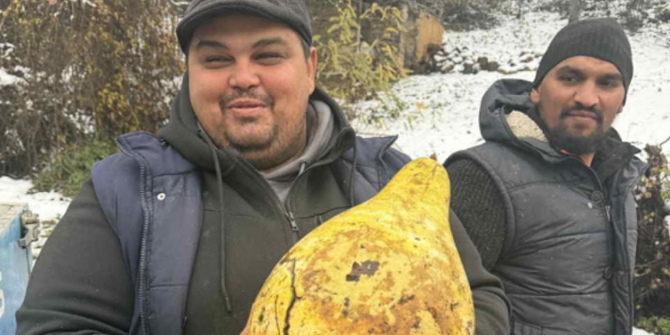 Šta je ovo, ljudi: Čudnovata voćka šokirala meštane Kuršumije