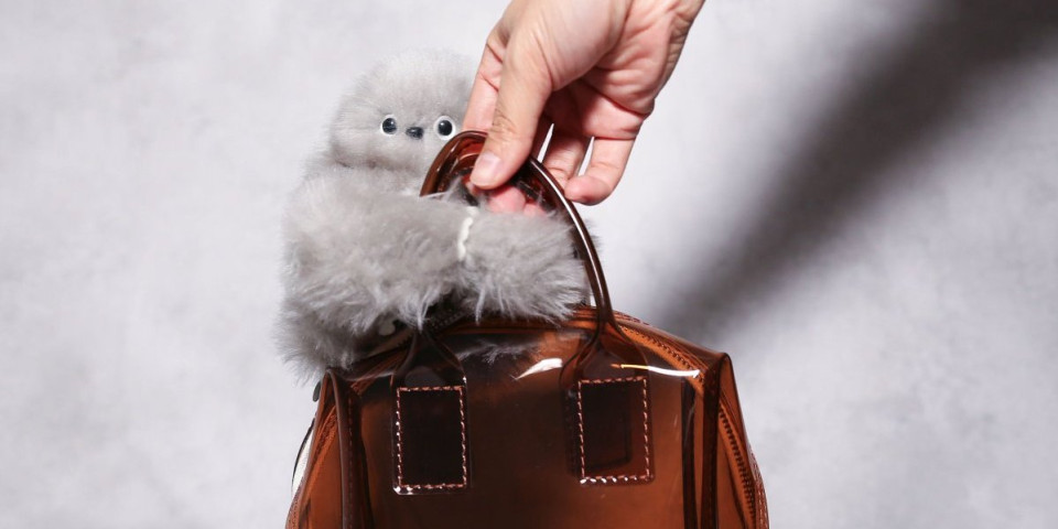 Kopija Labubu-a košta 15.000 dinara: Deca odlepila za ovom igračkicom, a izgledao kao...