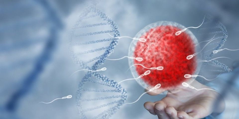 Genetska bomba u spermi: Stotine dece širom Evrope u opasnosti od raka zbog anonimnog donora