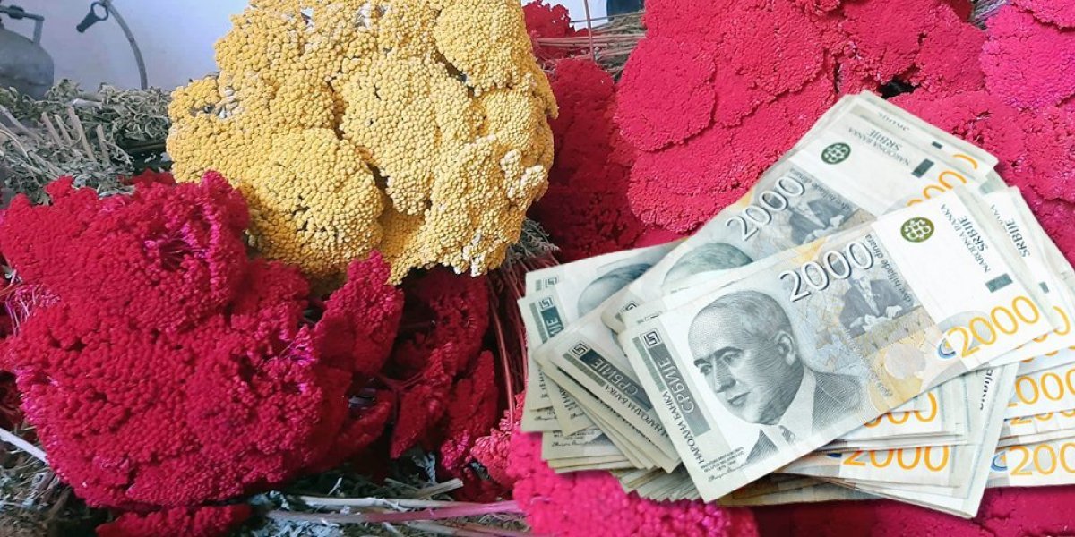 Zgrću pare na cvetu koji ne vene: Radojevići i zimi imaju posla