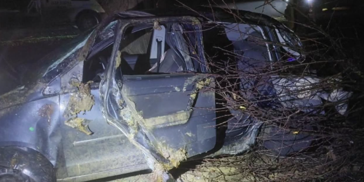 Sleteo s puta i isprevrtao se: Od automobila nije ostalo ništa - teška saobraćajka kod Rume (FOTO)