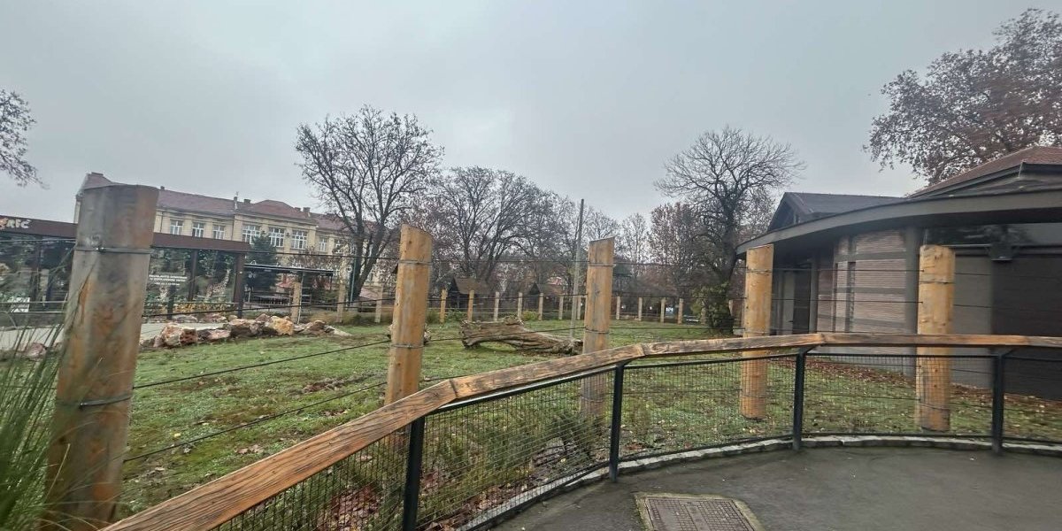 Saznajemo: Maja stiže u maju - Životinja koju Beograđani čekaju 2 godine uskoro u Zoo vrtu