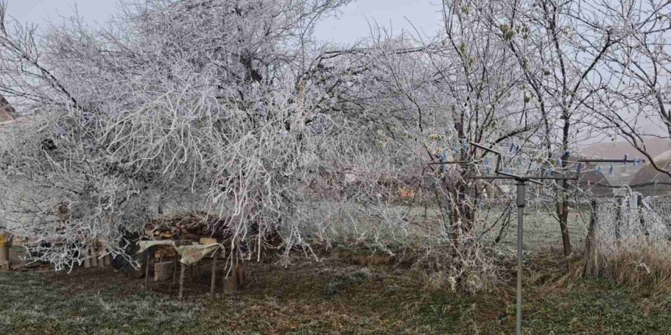 Steglo i ne pušta: Zaledile i česme