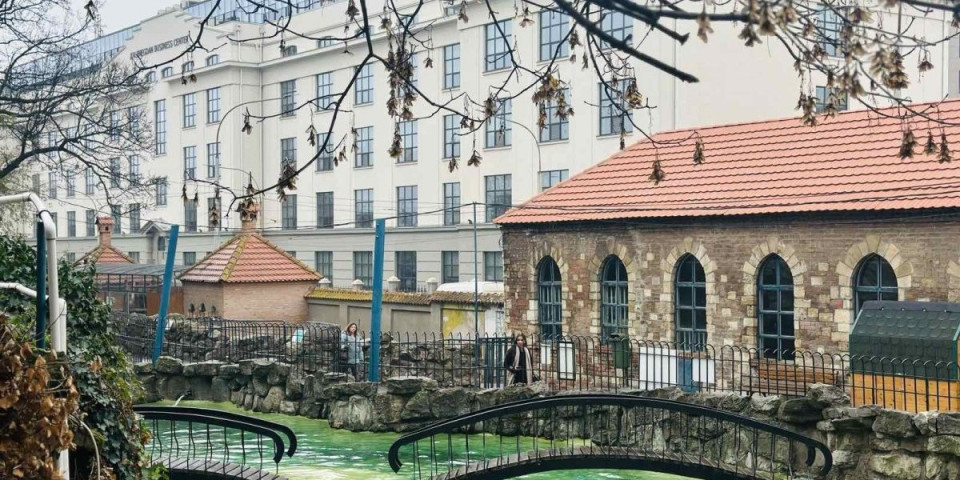 Početak godine za pamćenje: Beogradski Zoo vrt dobio novu bebu (VIDEO)