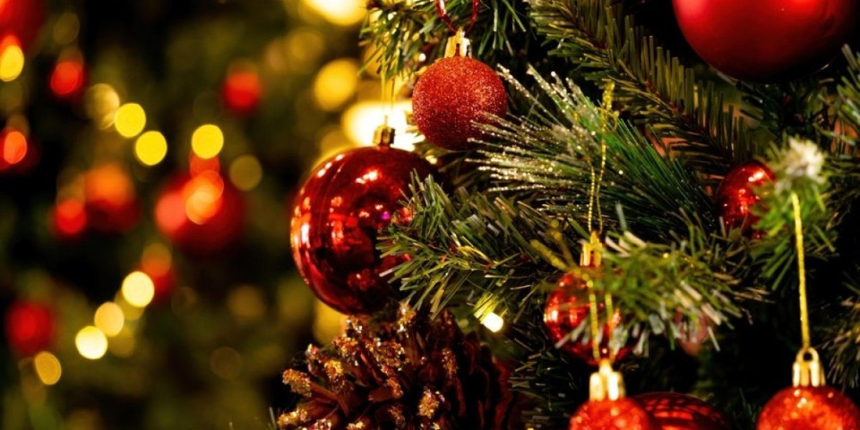 Pakao u stanu zbog jelke: Uz 4 genijalna trika iglice više neće padati po podu (VIDEO)