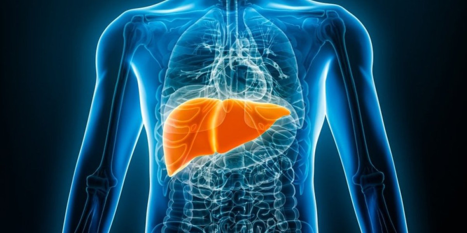 Opasni neprijatelj u vašem telu: Namirnice koje uništavaju jetru, a vi ih svakodnevno jedete