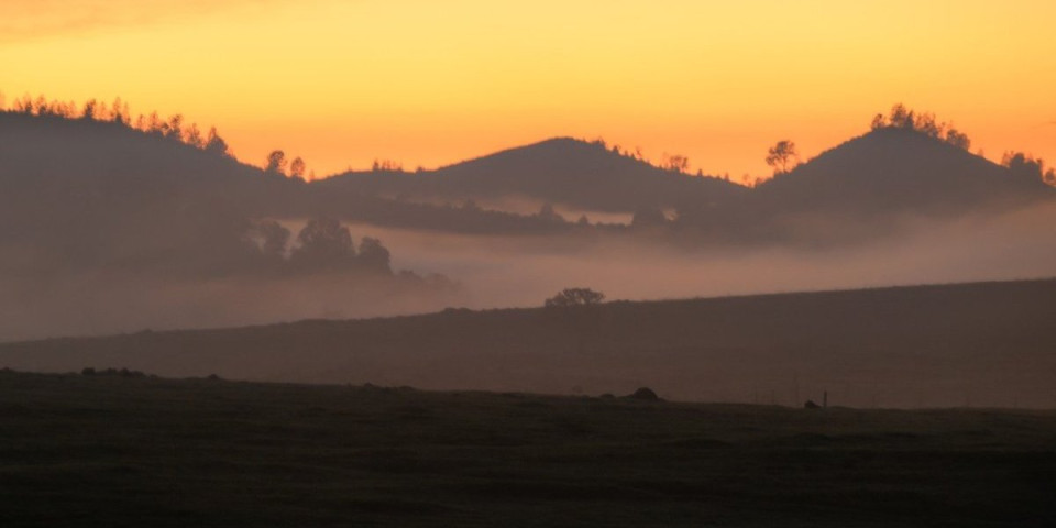 Radijacijska magla "guši" stanovnike Kalifornije: Oblak pokrio 700 km, stanovnici u panici, kašlju, lekovi ne pomažu (FOTO)