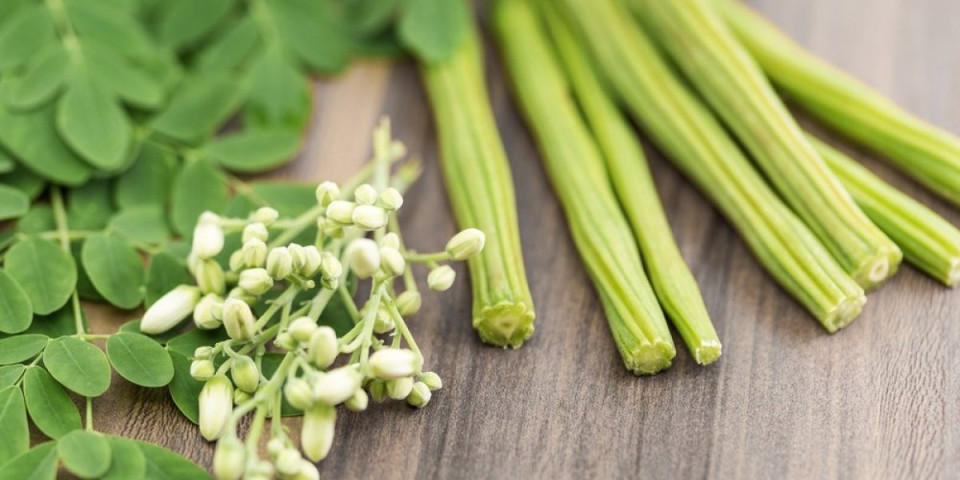 Biljka koja ima više kalcijuma nego mleko: Prirodna bomba zdravlja - jedna kašičica menja sve